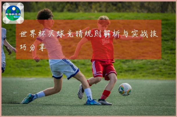世界杯买球竞猜规则解析与实战技巧分享