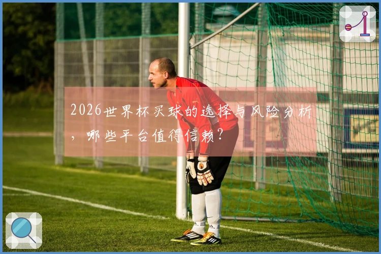2026世界杯买球的选择与风险分析，哪些平台值得信赖？