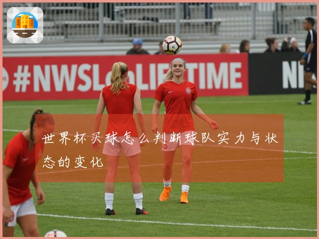 世界杯买球怎么判断球队实力与状态的变化