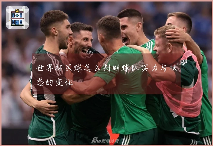 世界杯买球怎么判断球队实力与状态的变化
