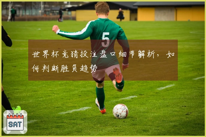 世界杯竞猜投注盘口细节解析，如何判断胜负趋势