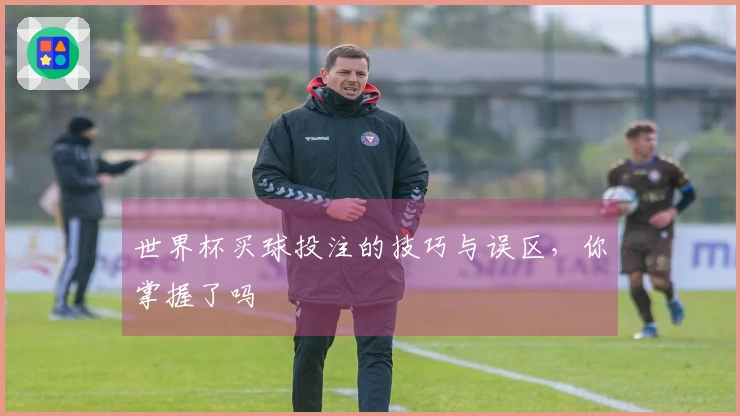 世界杯买球投注的技巧与误区，你掌握了吗