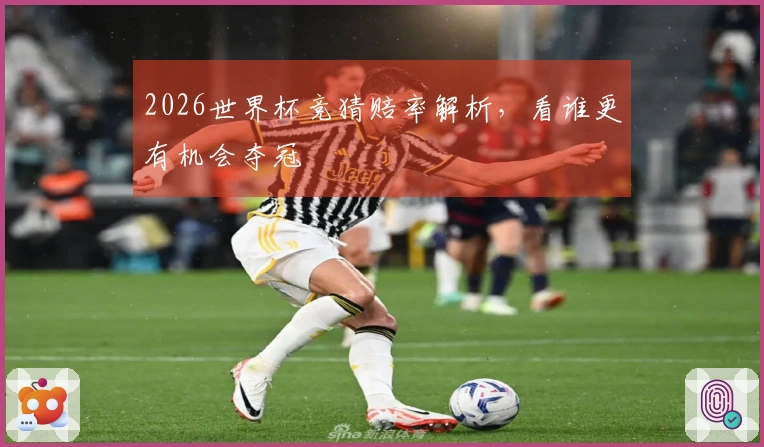 2026世界杯竞猜赔率解析，看谁更有机会夺冠