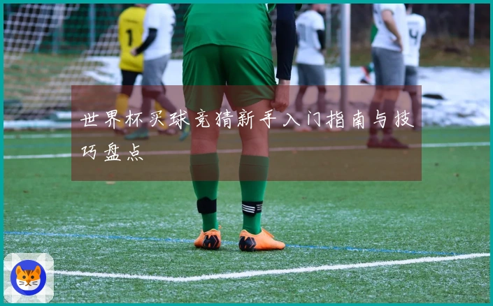 世界杯买球竞猜新手入门指南与技巧盘点