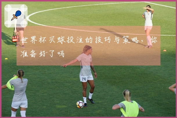 世界杯买球投注的技巧与策略，你准备好了吗