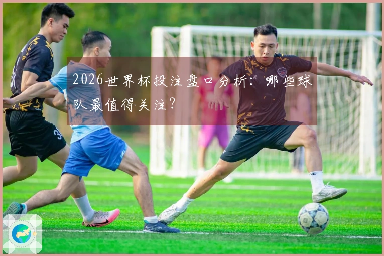 2026世界杯投注盘口分析：哪些球队最值得关注？