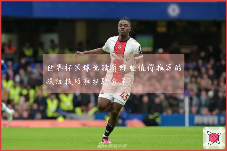 世界杯买球竞猜有哪些值得推荐的投注技巧和经验分享