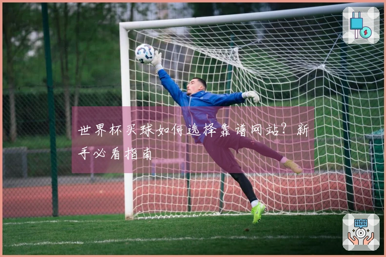 世界杯买球如何选择靠谱网站？新手必看指南
