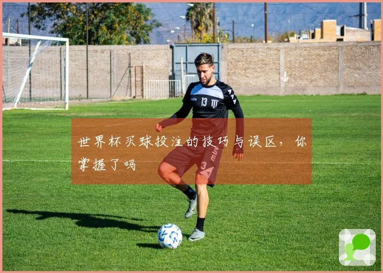 世界杯买球投注的技巧与误区，你掌握了吗