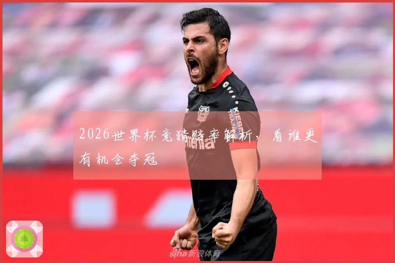 2026世界杯竞猜赔率解析，看谁更有机会夺冠