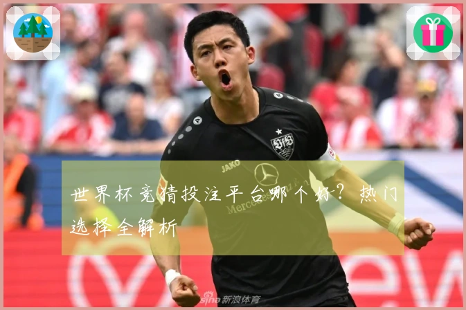 世界杯竞猜投注平台哪个好？热门选择全解析