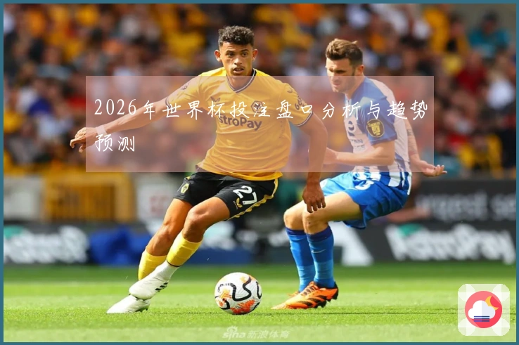 2026年世界杯投注盘口分析与趋势预测