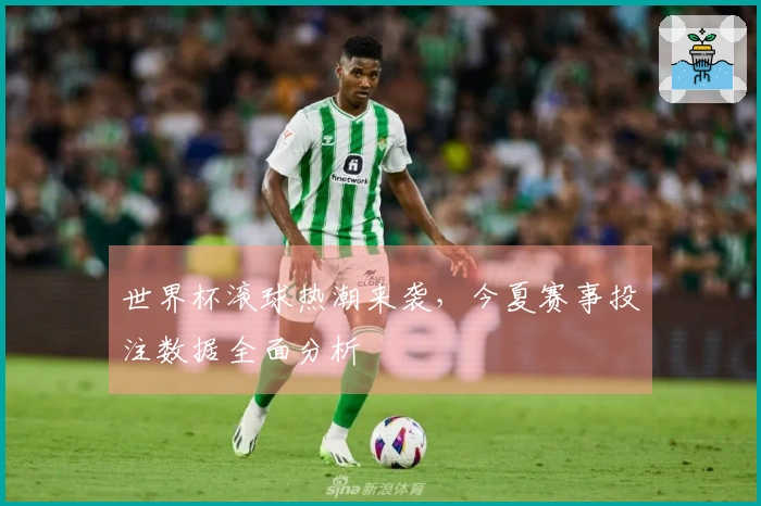 世界杯滚球热潮来袭，今夏赛事投注数据全面分析